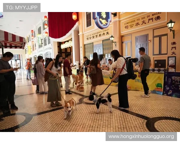 澳门葡京人:澳门博彩行业中葡京人群体的职业发展与未来展望